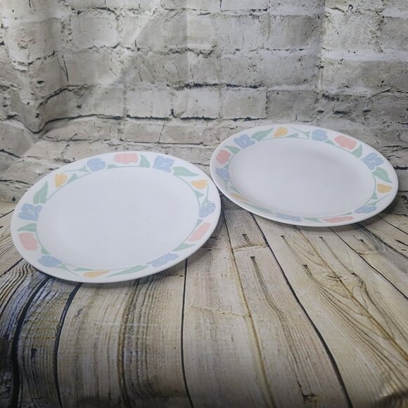 2 Vintage Corelle Friendship  10”  Dinner Plates - Picture 1 of 3